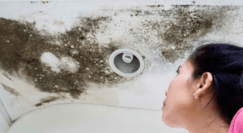 8 ways to prevent mold growing in your home